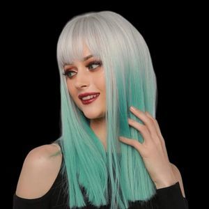 SHEIN | Long Straight Synthetic Wig With Bangs, wig cap and wig holder/hanger